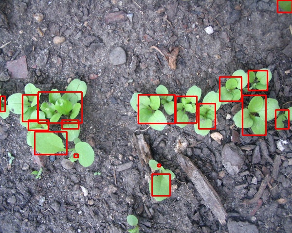 Bounded_Plants